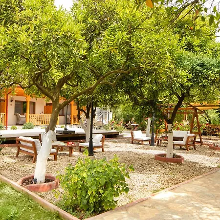 Orange Garden 아키아카