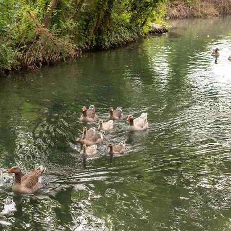 Szálloda Orange Garden