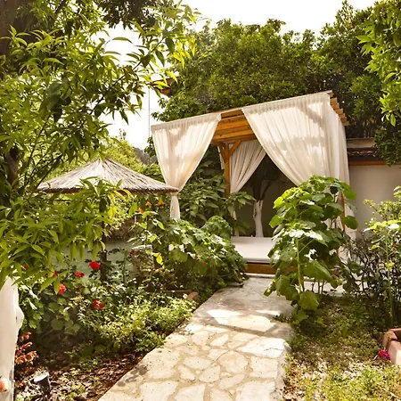 Orange Garden