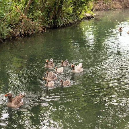 Orange Garden Szálloda Akyaka