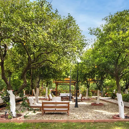Orange Garden 3*