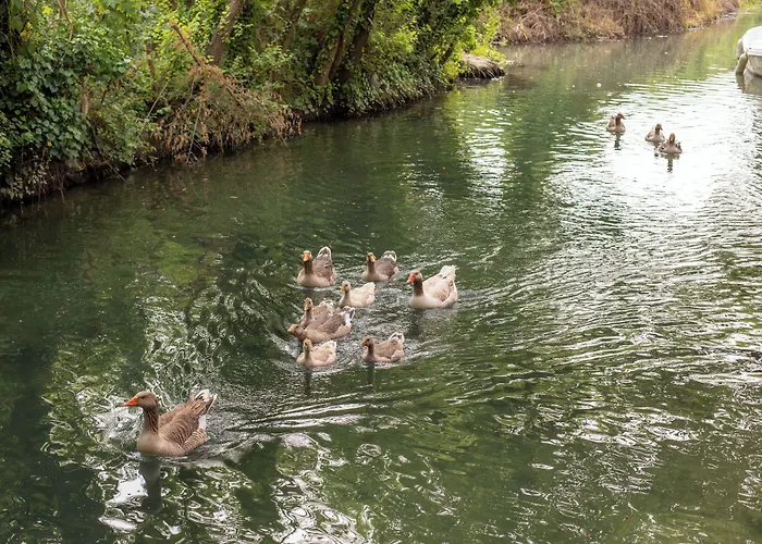 Orange Garden Ξενοδοχείο Akyaka (Mugla)