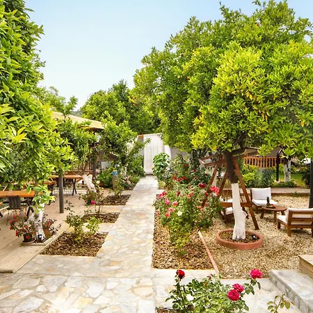 Orange Garden Otel *