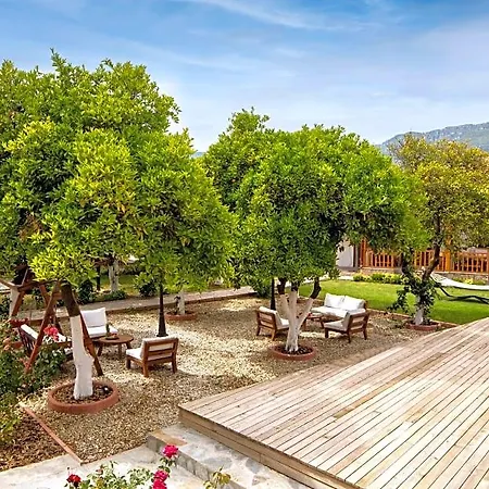 Orange Garden Hotel 3*
