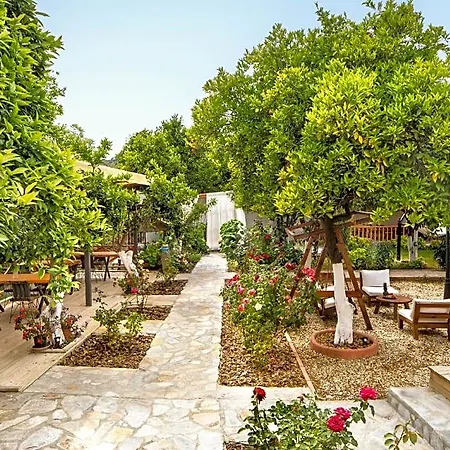 Orange Garden 3*