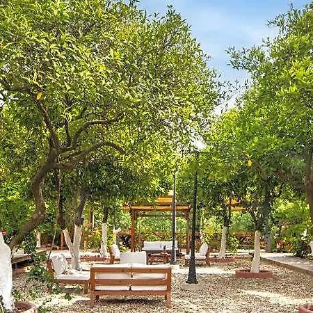 Orange Garden 3*