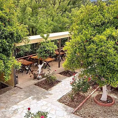 Orange Garden