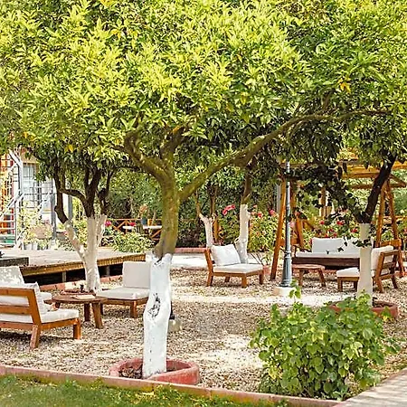 Orange Garden Hotel